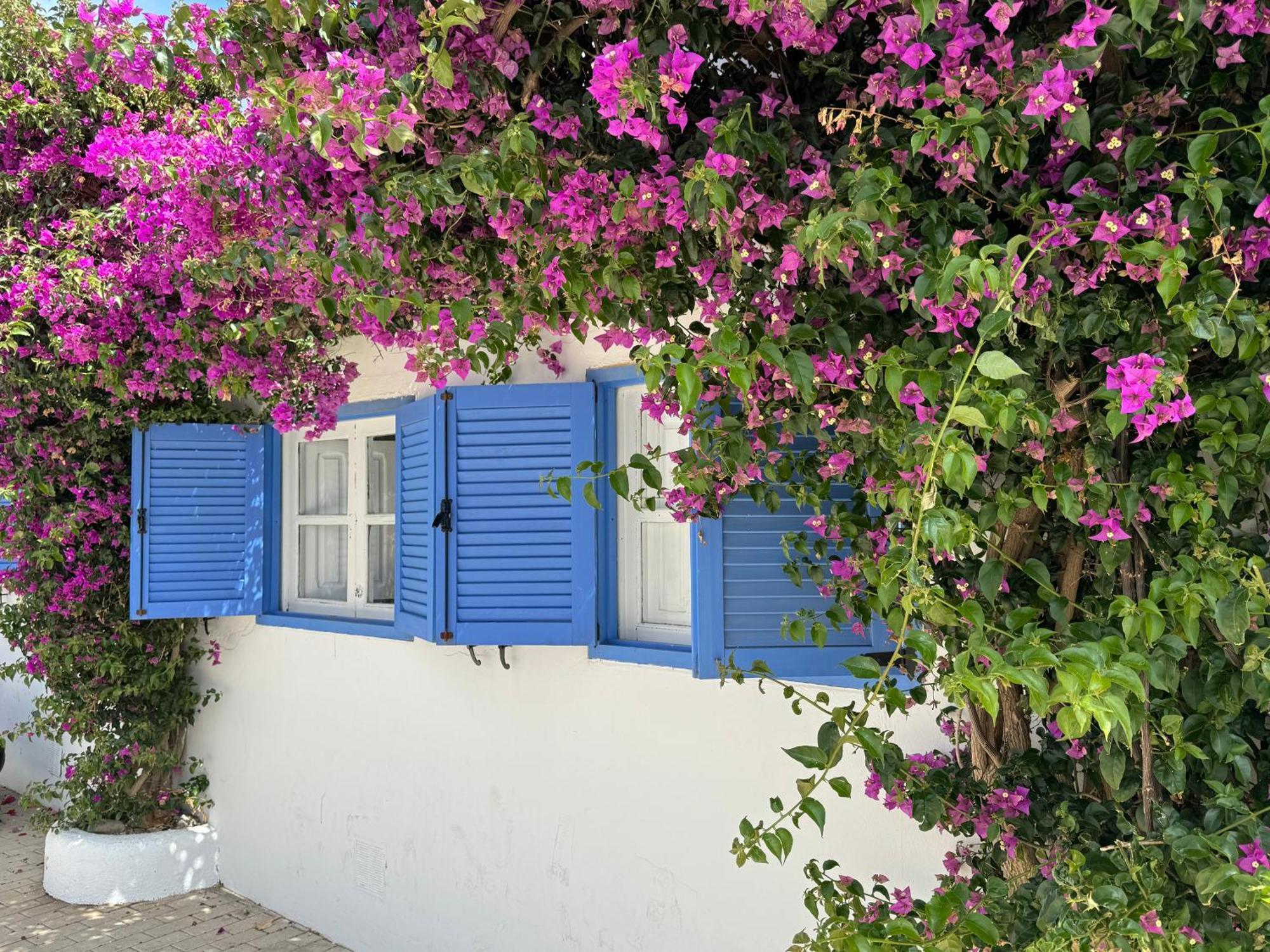 شقة Casa Mellis Aguamarga أغوا امارجا المظهر الخارجي الصورة